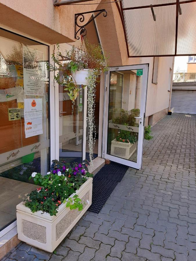 Guest House Diel Veliko Tarnovo Extérieur photo